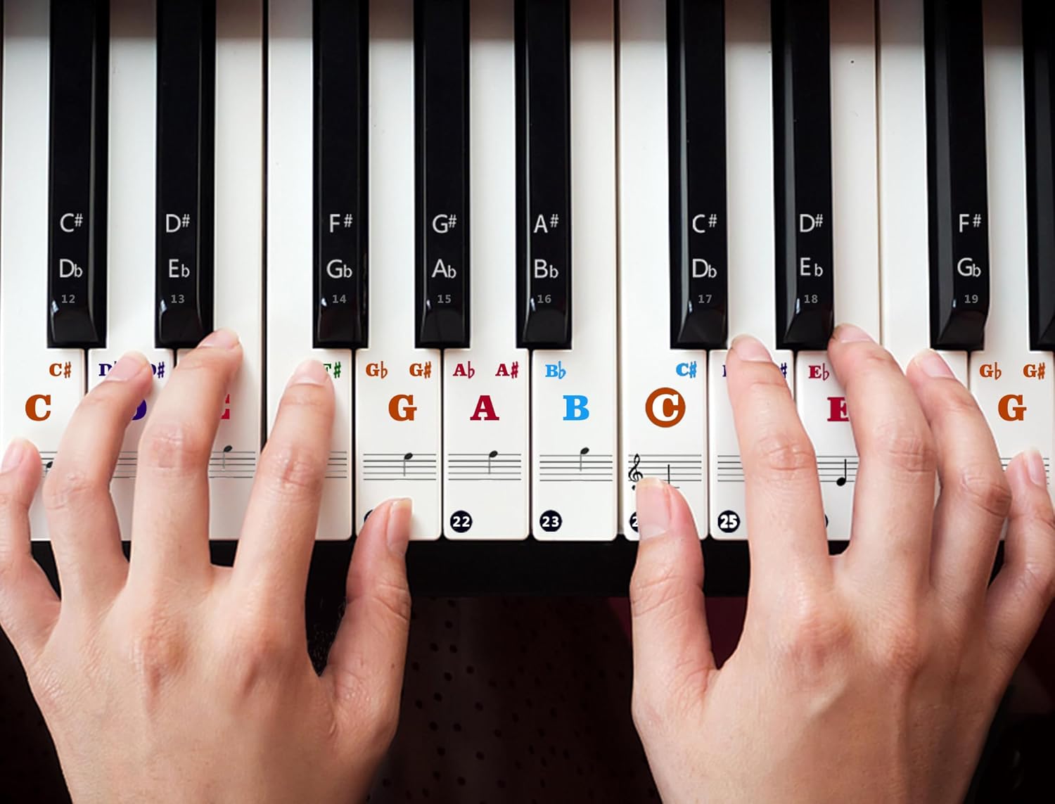 Pegatinas para teclado de piano 88614937 teclas (multicolor)