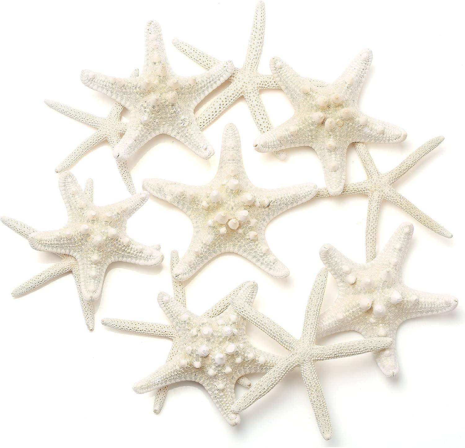 gopiter 12 piezas de estrellas de mar  Decoración de estrellas de mar de 2.5 a 6 pulgadas  Conchas naturales de estrella de mar a granel perfectas