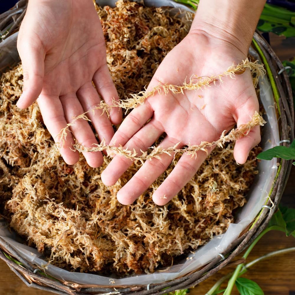 SuperMoss – Musgo seco para orquídea sphagnum seco