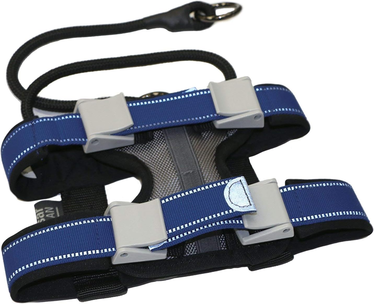 Cesar Millan Pack Leader Collar – Collar de entrenamiento del perro susurrador (pequeño, gris)