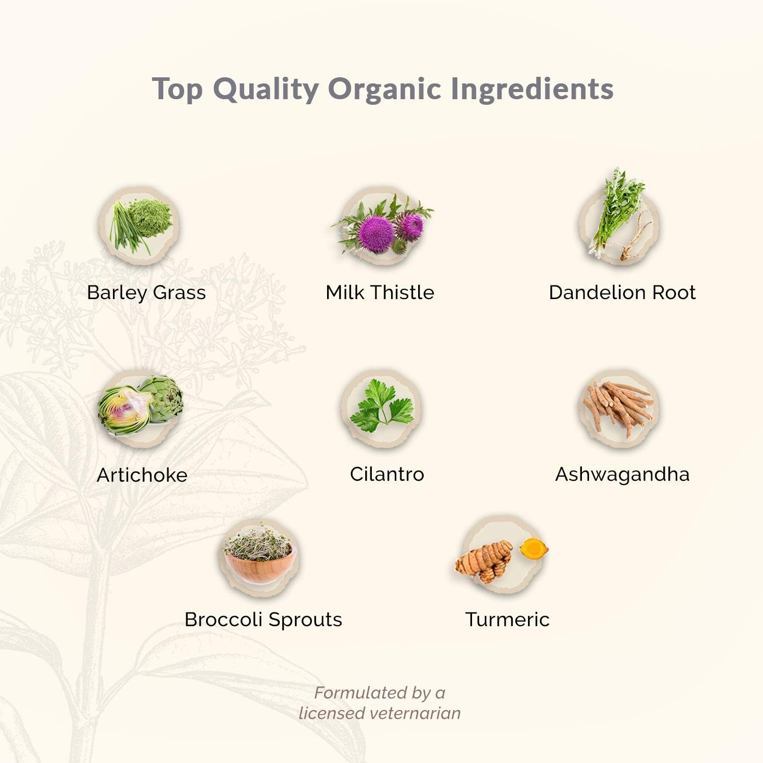 LiverTune soporte hepático orgánico fermentado naturalmente certificado