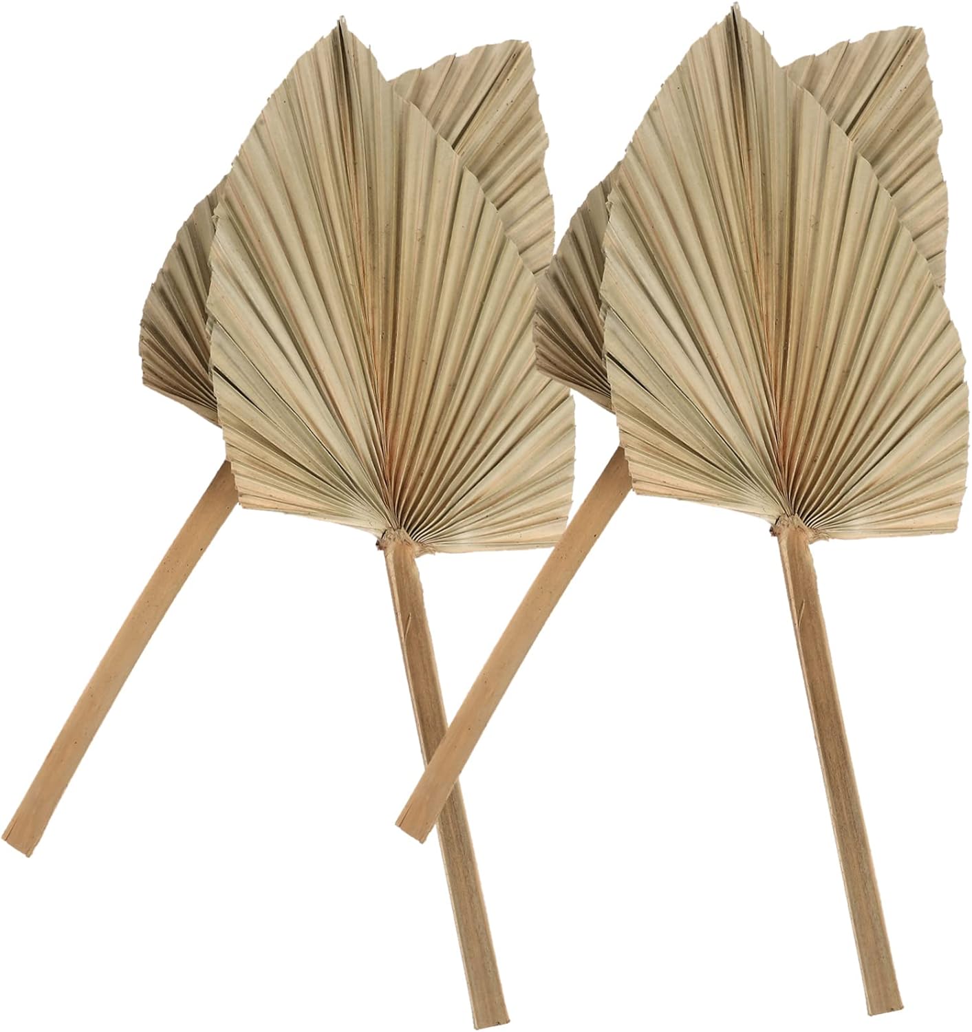 Abaodam 8 Pcs Dried Palm Leaves Flower Vases Decorative Fake Leaves Dried Natural Monstera Leaf Decor Jungle Decorations Dried Leaf Adornment Palm