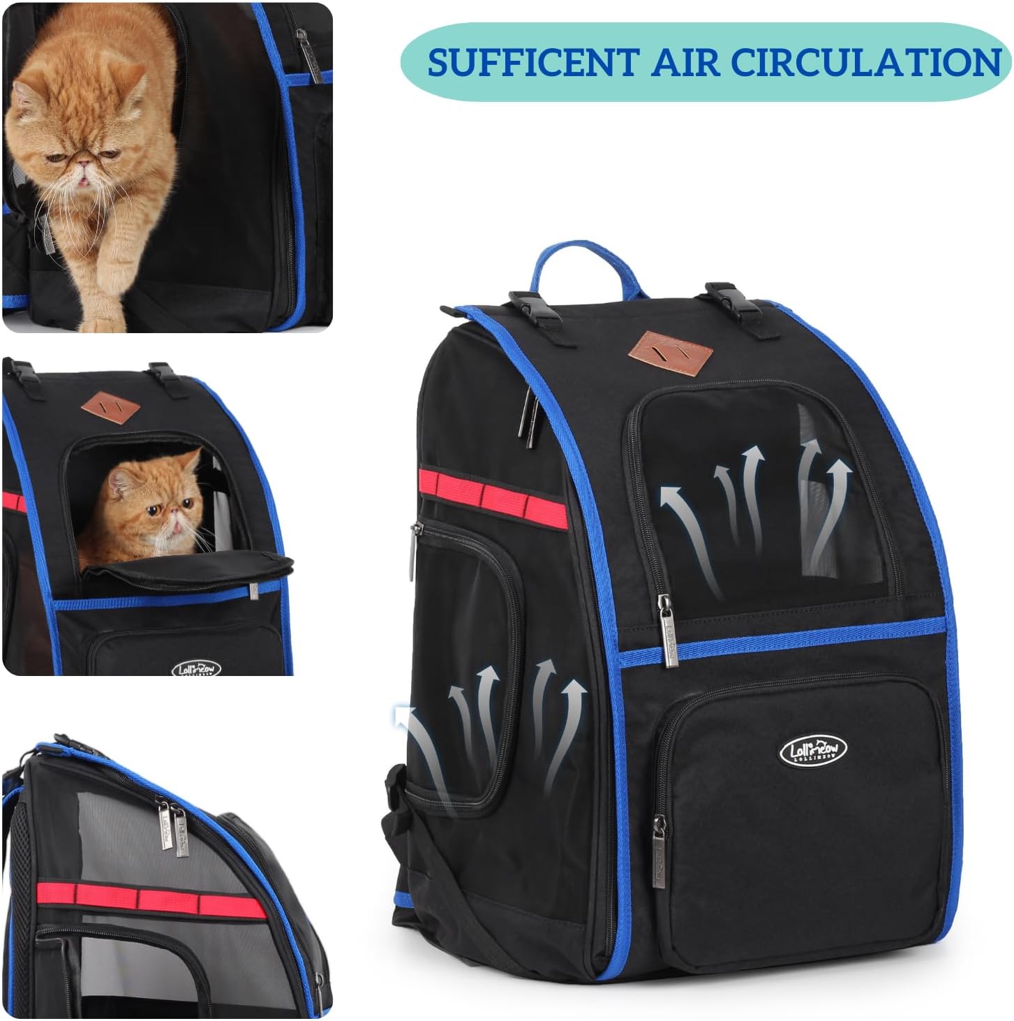 Lollimeow Mochila para gatos y cachorros, mochila de lona ventilada para exteriores con gran espacio, aprobada por aerolíneas