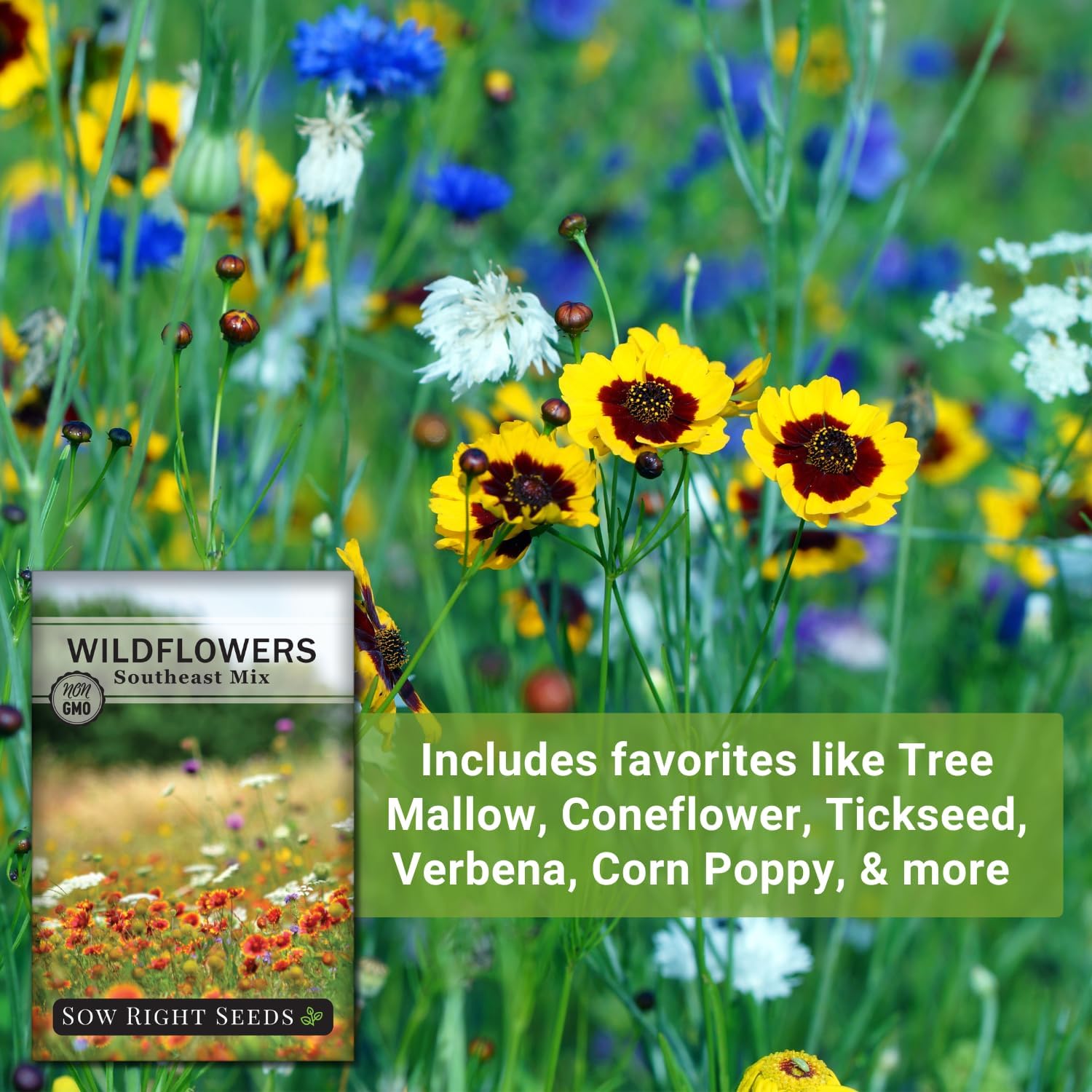 Sow Right Seeds – Mezcla de semillas de flores silvestres para plantar en el sureste – Paquete de reliquia sin OMG con instrucciones para cultivar