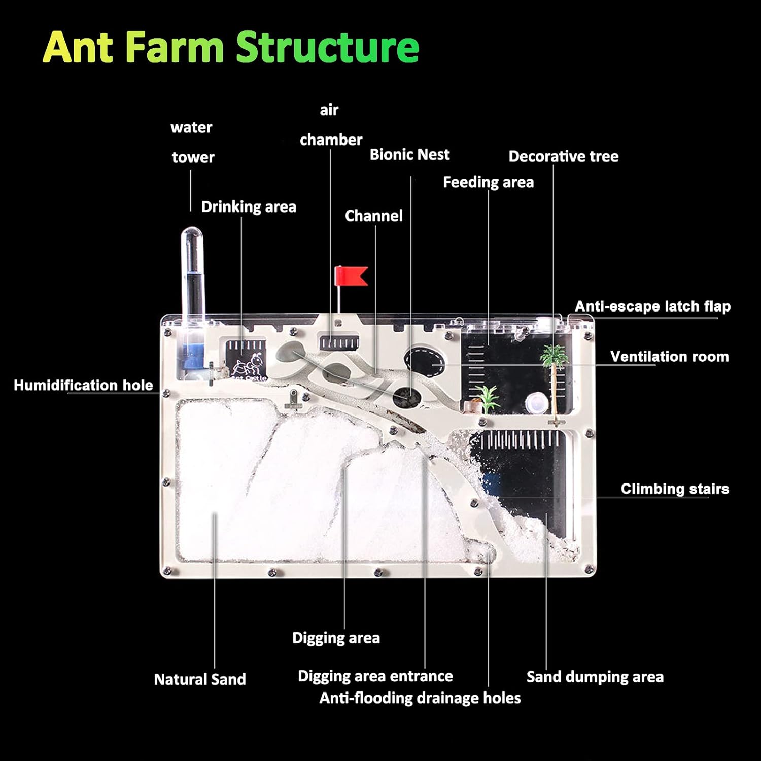 Sand Ant Farm Castle Ant Colony Ecosystem Science Regalo educativo Hábitat de hormigas vivas para estudiar el comportamiento de los insectos..