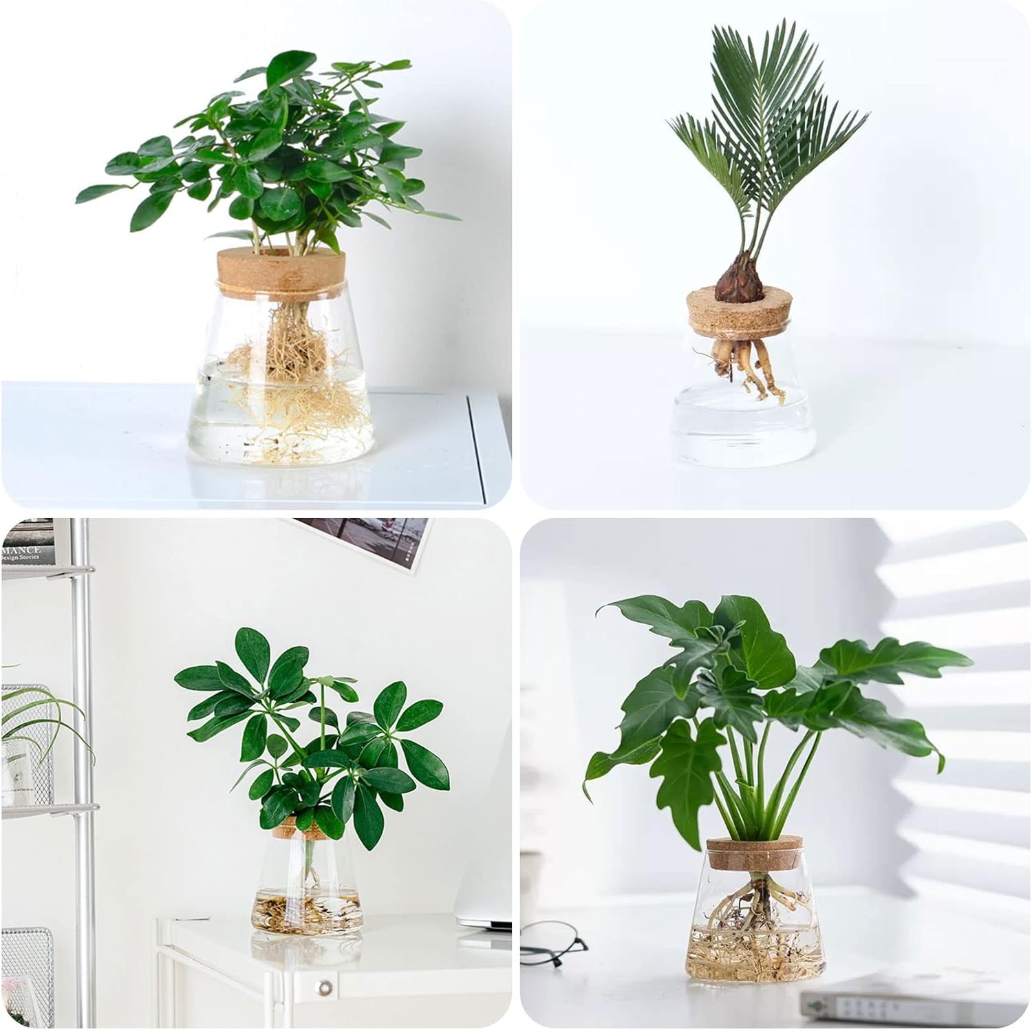 2 piezas de terrario de escritorio separadas, estación de propagación de plantas, planta de vidrio, planta de terrario, estación de agua, jarrón de