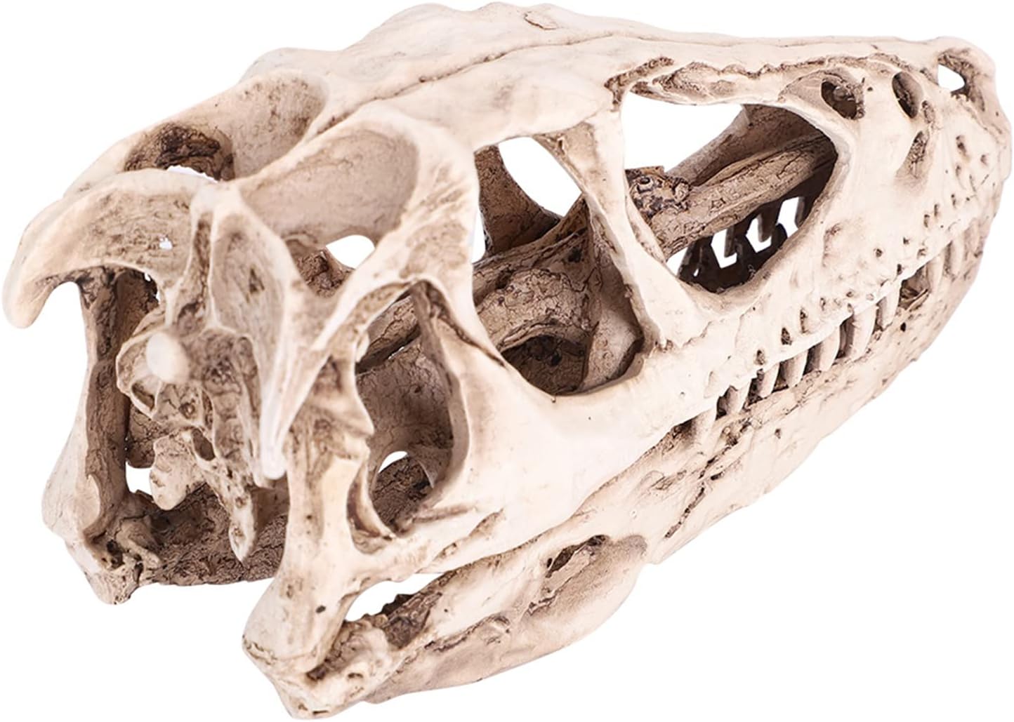 TOPINCN Modelo de calavera de dinosaurio, esqueleto de animal simulado, realista y vívido, perfecto para decoración de oficina en casa, accesorio de