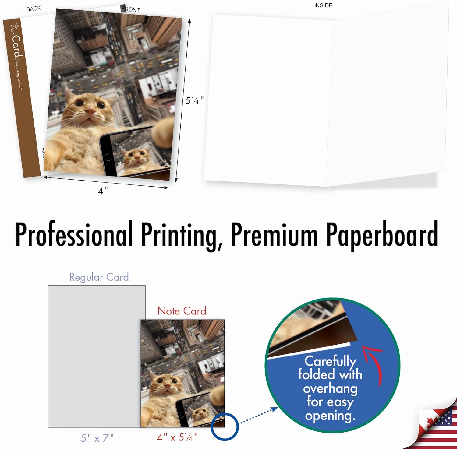The Best Card Company – Tarjetas de animales en blanco en caja, 4 x 5.12 pulgadas, mascotas surtidas, zoológico, tarjetas de vida silvestre para