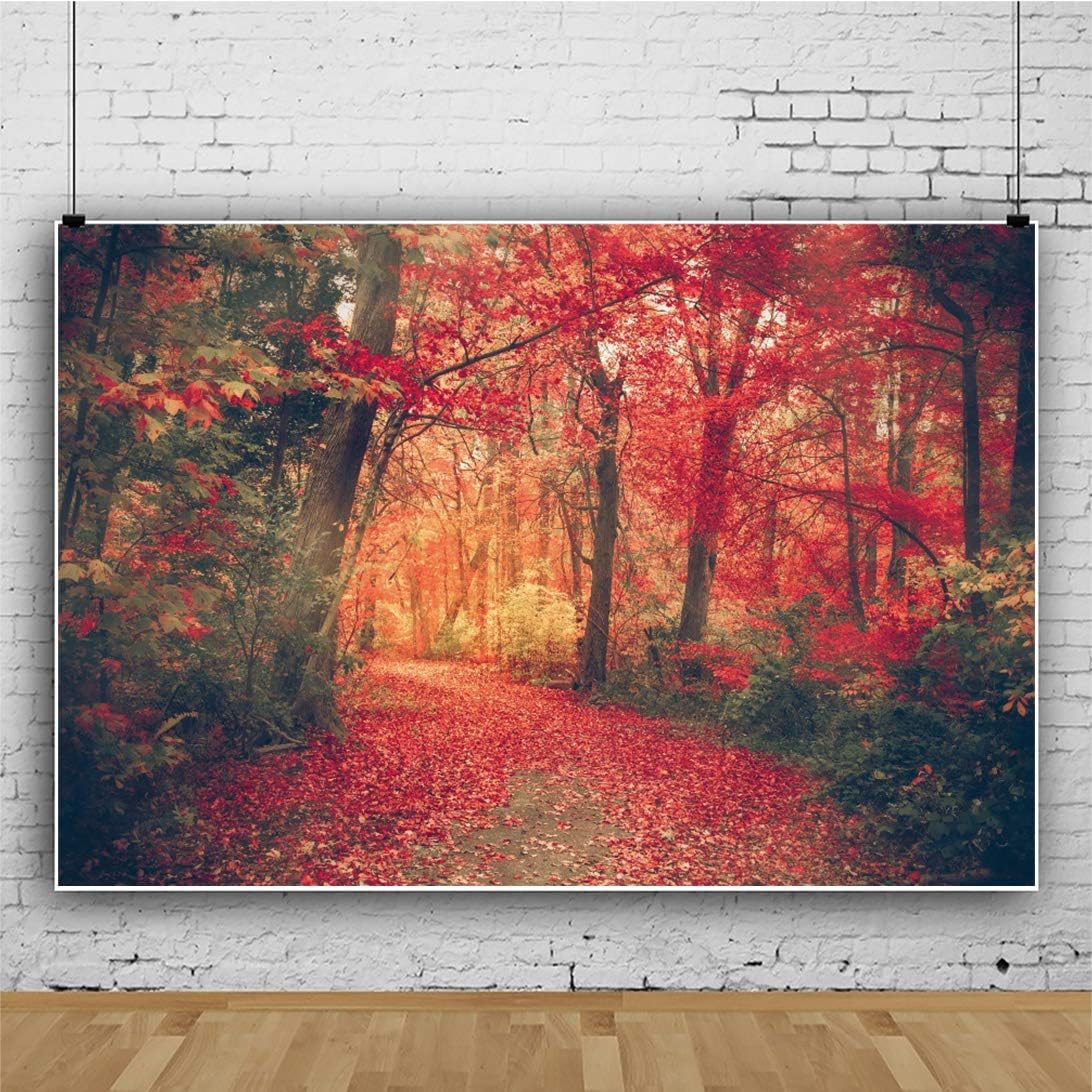 OERJU Telón de fondo de bosque de arce otoñal de 7 x 5 pies, otoño, puesta de sol, bosque, camino, hojas rojas, camino, paisaje natural, fotografía,