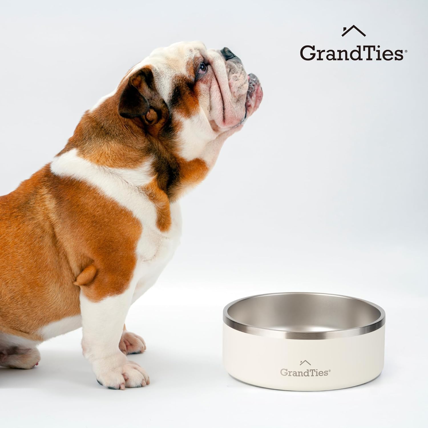 GrandTies Cuenco de acero inoxidable para perros  Cuenco reutilizable grabado sin BPA con aislamiento para gatos y perros  Cuenco grande y