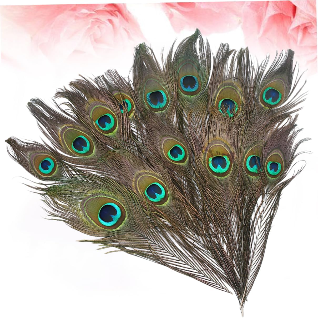 EXCEART 50 piezas de plumas naturales, plumas decorativas, plumas de cola de pavo real, arreglo floral