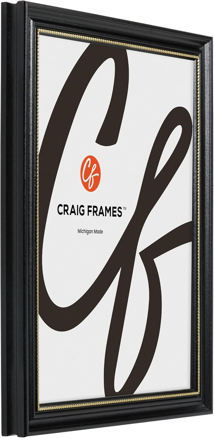 Craig Frames 314BG, portarretratos de 20 x 30 pulgadas con paspartú para fotos de 16 x 24 pulgadas, adornado negro y dorado