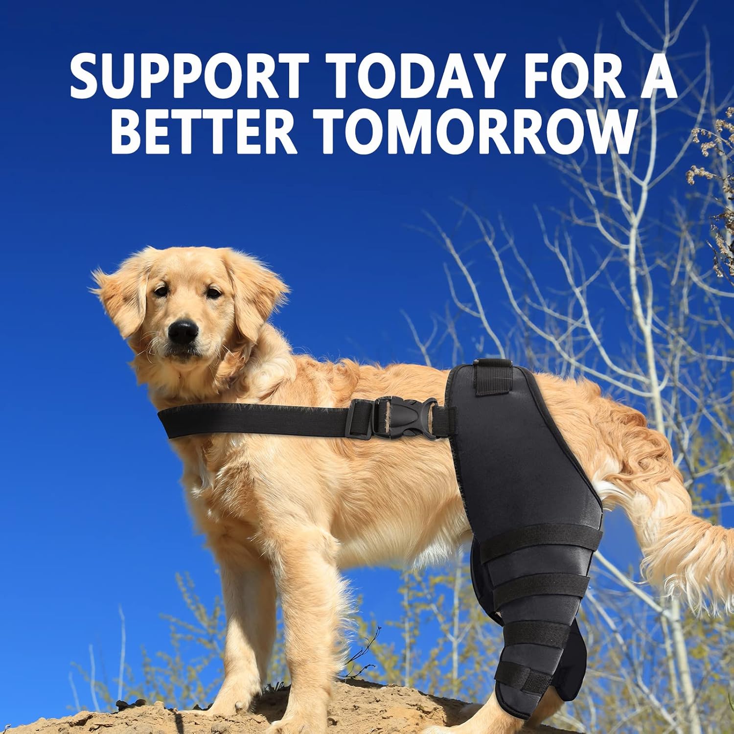 Rodilleras para perro para dolor CCL, ACL, artritis, soporte adicional, soporte ACL para perro, patas traseras, color negro, talla L