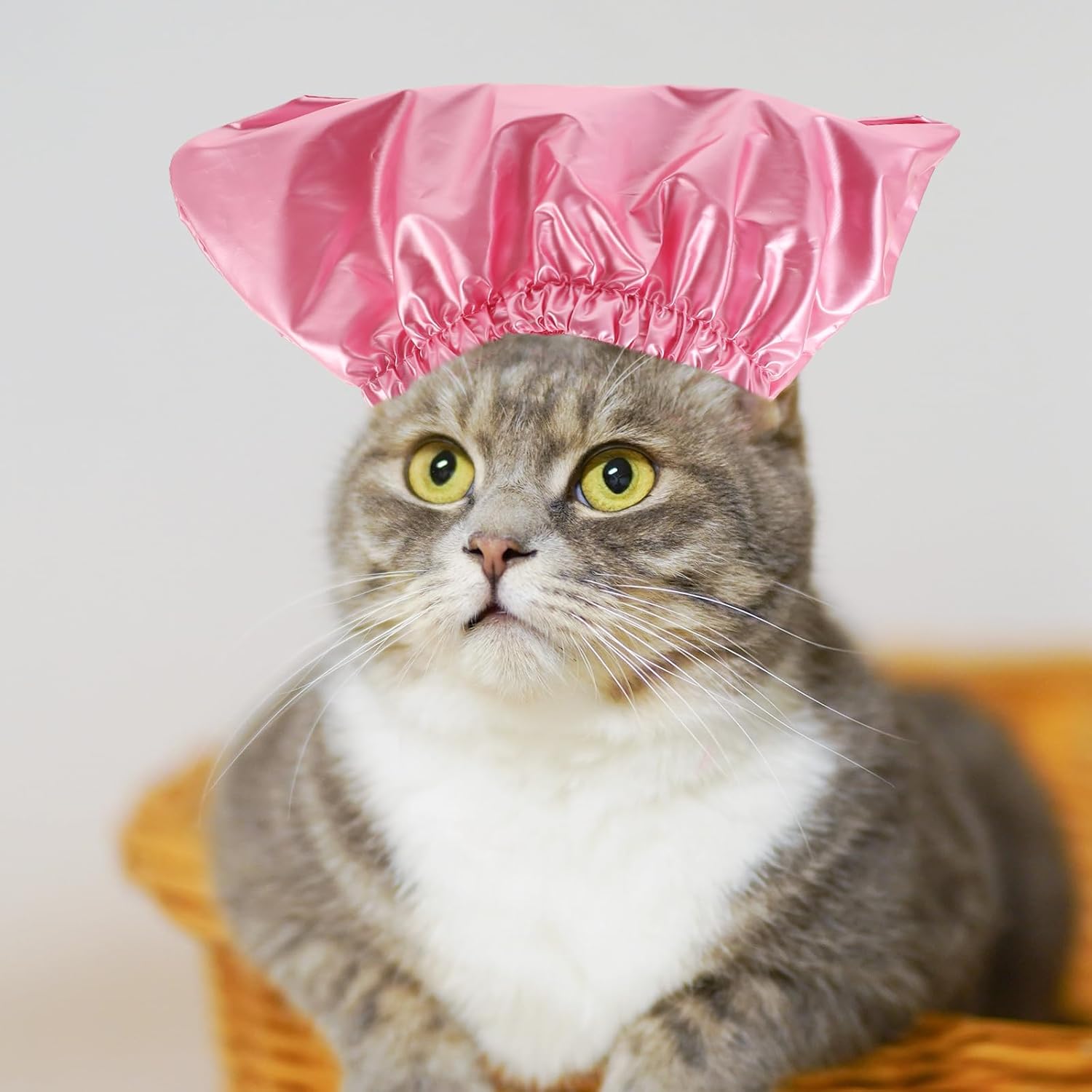 VILLCASE Gorro de ducha para perros y gatos, gorro de ducha para mascotas, cubiertas para orejas de perro que sobresalen para baño, protección para