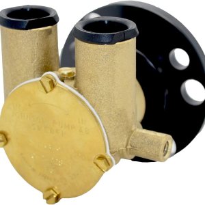 Johnson Pump s 10-24228-1 F5B-9 Bomba de cigüeñal extra grande, color dorado Johnson Pump s 10-24228-1 F5B-9 Bomba de cigüeñal extra grande, color dorado