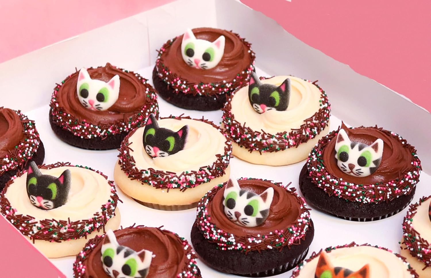 Dec-Ons – Decoración comestible de azúcar moldeada para cupcakes, 12 unidades (gato)