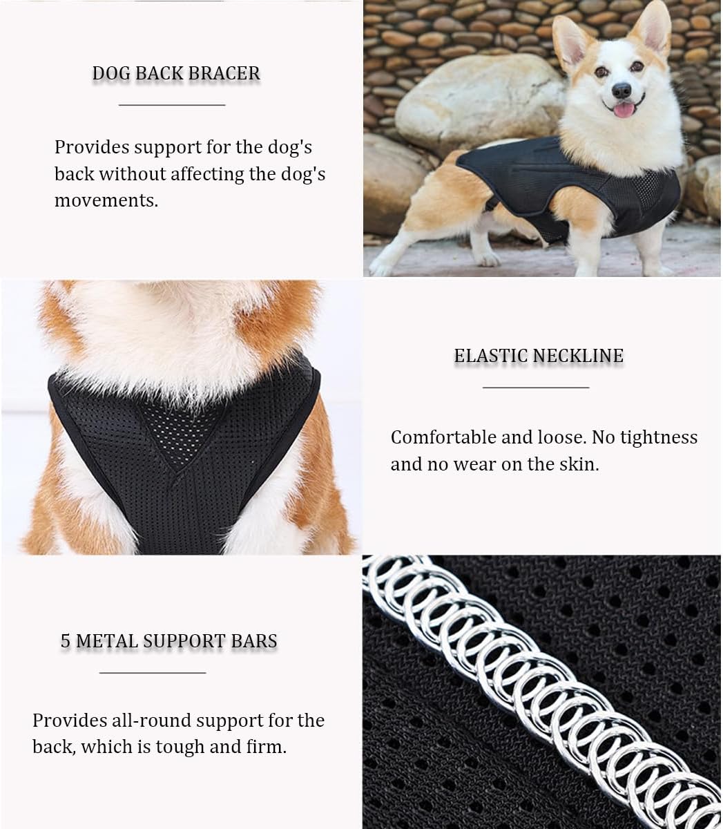 IVDD – Soporte de espalda para perros, chaleco flexible de apoyo de espalda de perro salchicha para mascotas, soporte de espalda para mascotas