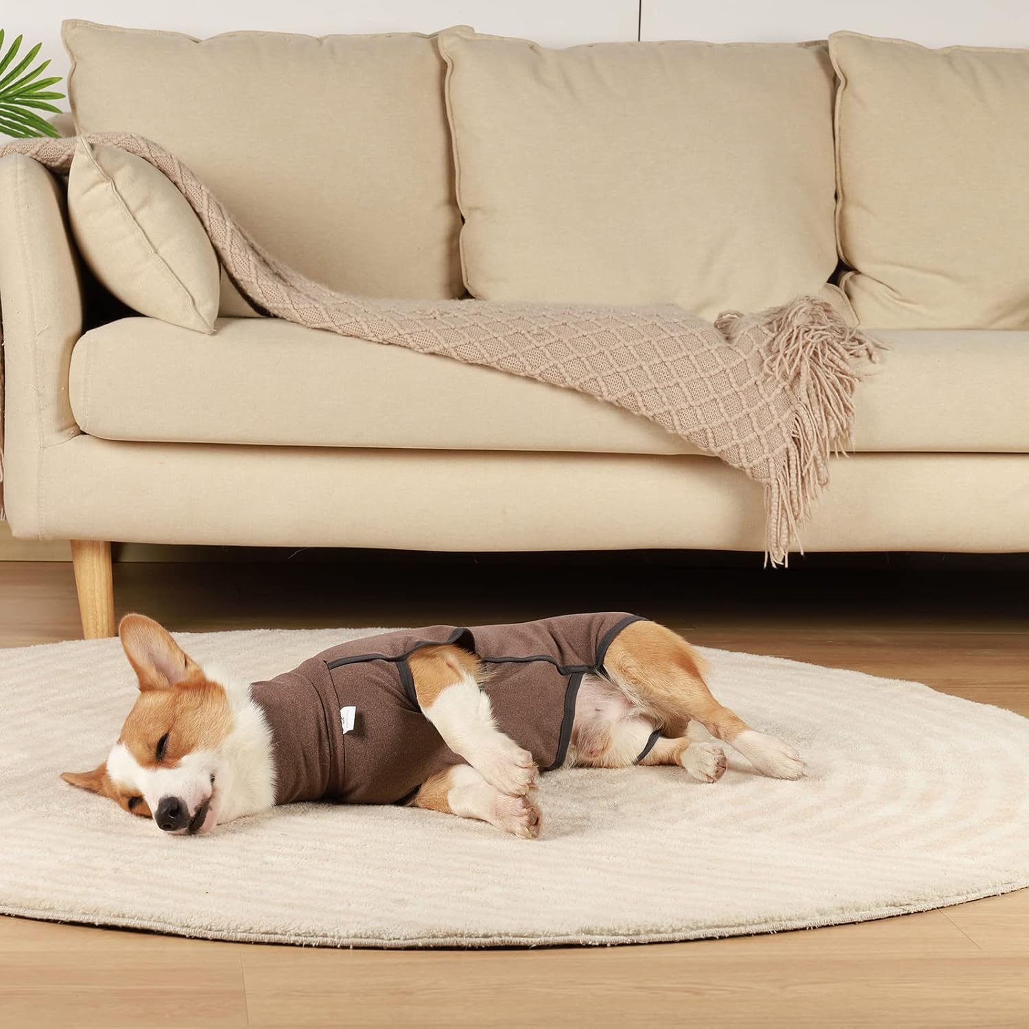 ROZKITCH Abrigo de invierno para perro, pijama suave para mascotas, resistente al viento, chaqueta cálida para clima frío, chaleco acogedor,