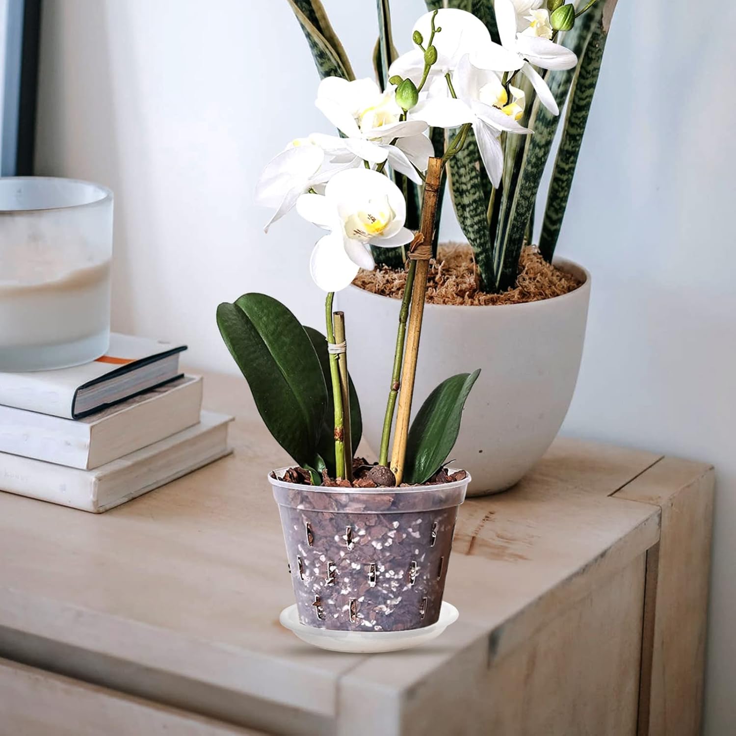 DOITOOL Macetero colgante para orquídeas, macetas de plástico para orquídeas con agujeros y platillos, macetas de orquídeas transparentes ranuradas