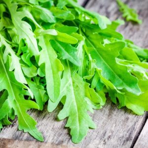 Ensalada de rúcula Rocket Rucola más de 1000 semillas para plantar Ensalada de rúcula Rocket Rucola más de 1000 semillas para plantar