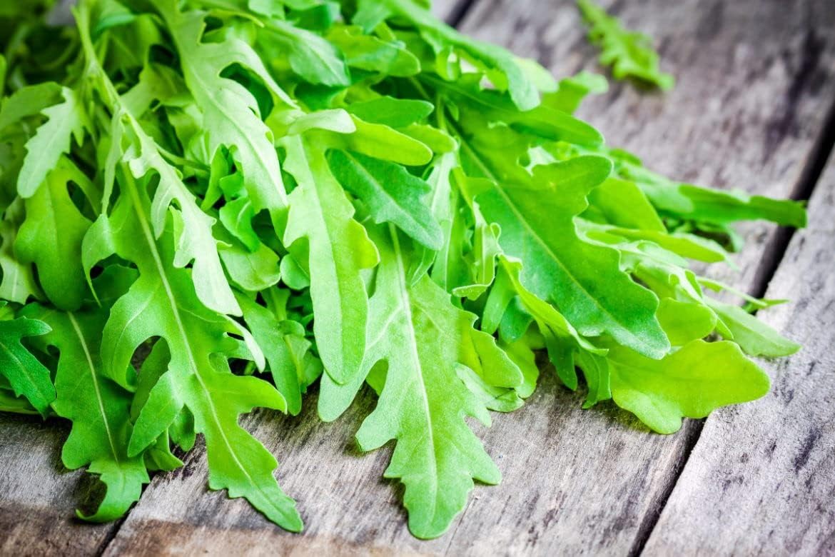 Ensalada de rúcula Rocket Rucola más de 1000 semillas para plantar