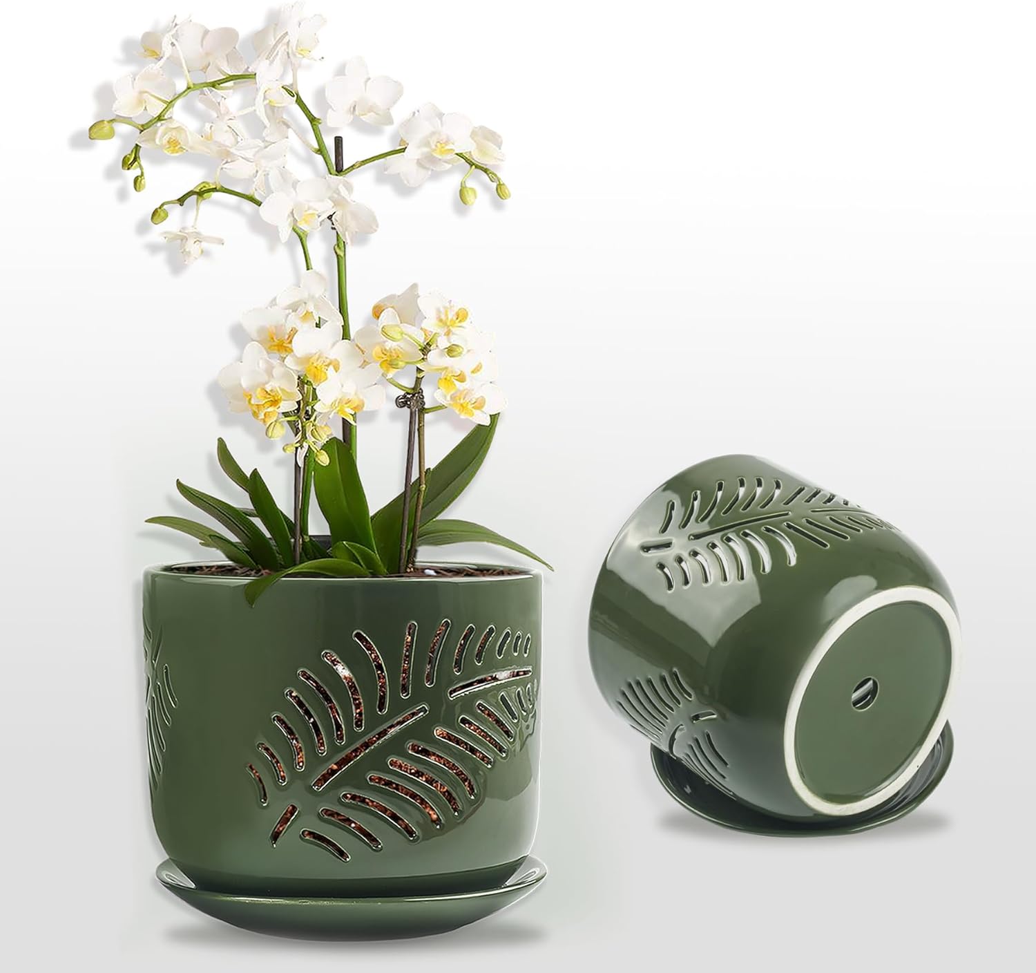 Macetas de orquídeas de cerámica, macetas de orquídeas de 6+5 pulgadas con agujeros, macetas de orquídeas para trasplantar, macetas de circulación