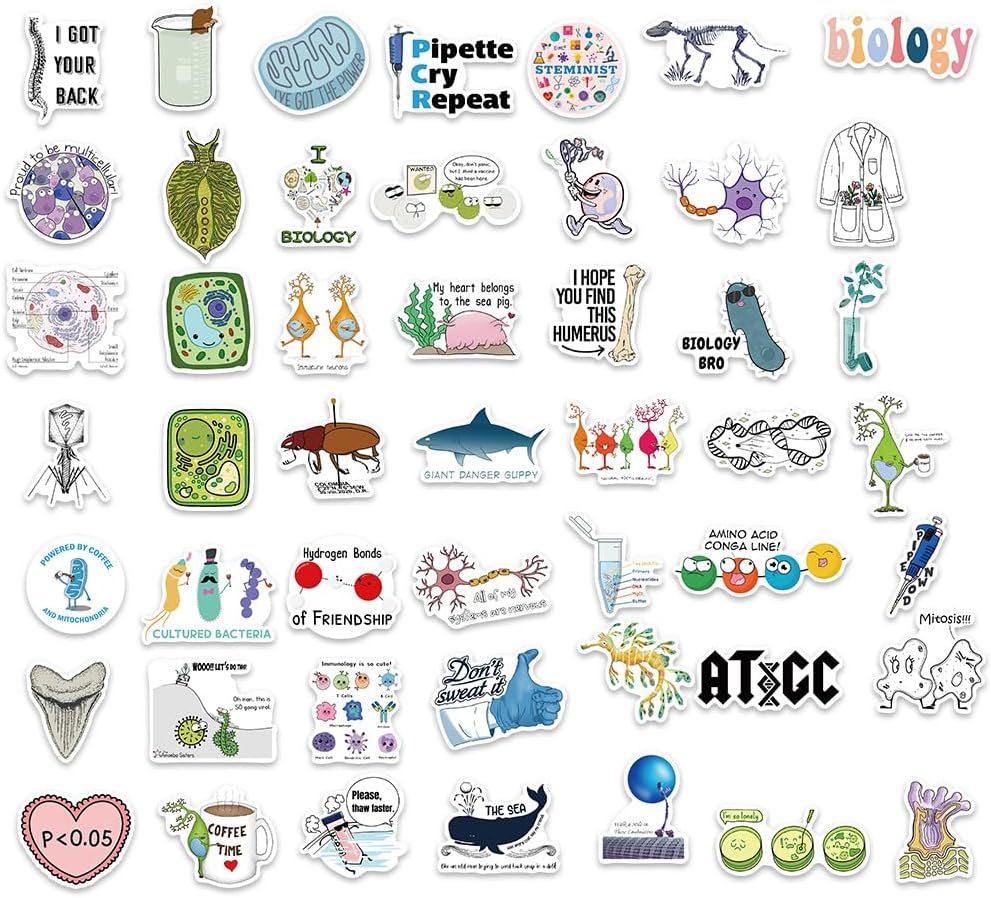 100 calcomanías impermeables divertidas de biología para botella de agua, laptop y cuaderno, lindas calcomanías de biología para profesores y