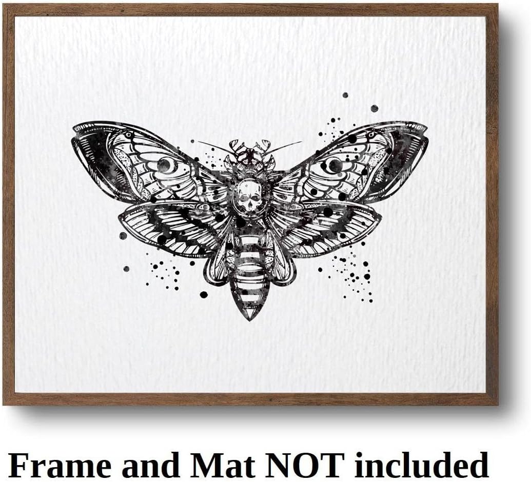 Dignovel Studios 8X10 sin marco cabeza de muerte halcón polilla insecto tótem ciencia animal acuarela arte impresión arte pared guardería niños
