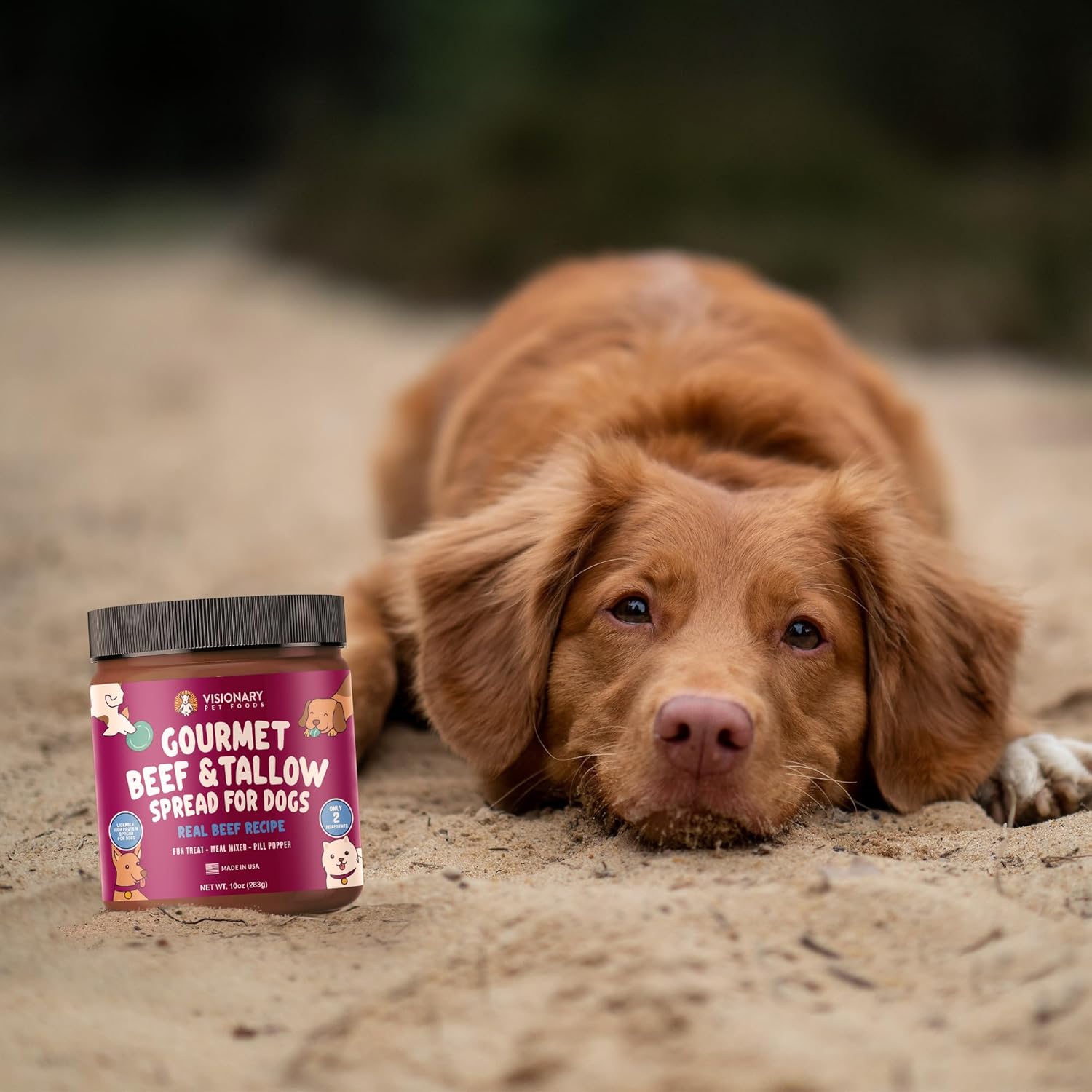 Visionary Pet Foods – Untable de carne de res para perros  Elección más saludable para la mantequilla de maní  Fácil de usar como tapete para lamer