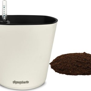 Window Garden – Maceta autorregable Aquaphoric de 7 pulg. + Tierra de fibra Jardín interior infalible Maceta decorativa para plantas de hogar, Window Garden – Maceta autorregable Aquaphoric de 7 pulg. + Tierra de fibra Jardín interior infalible Maceta decorativa para plantas de hogar,
