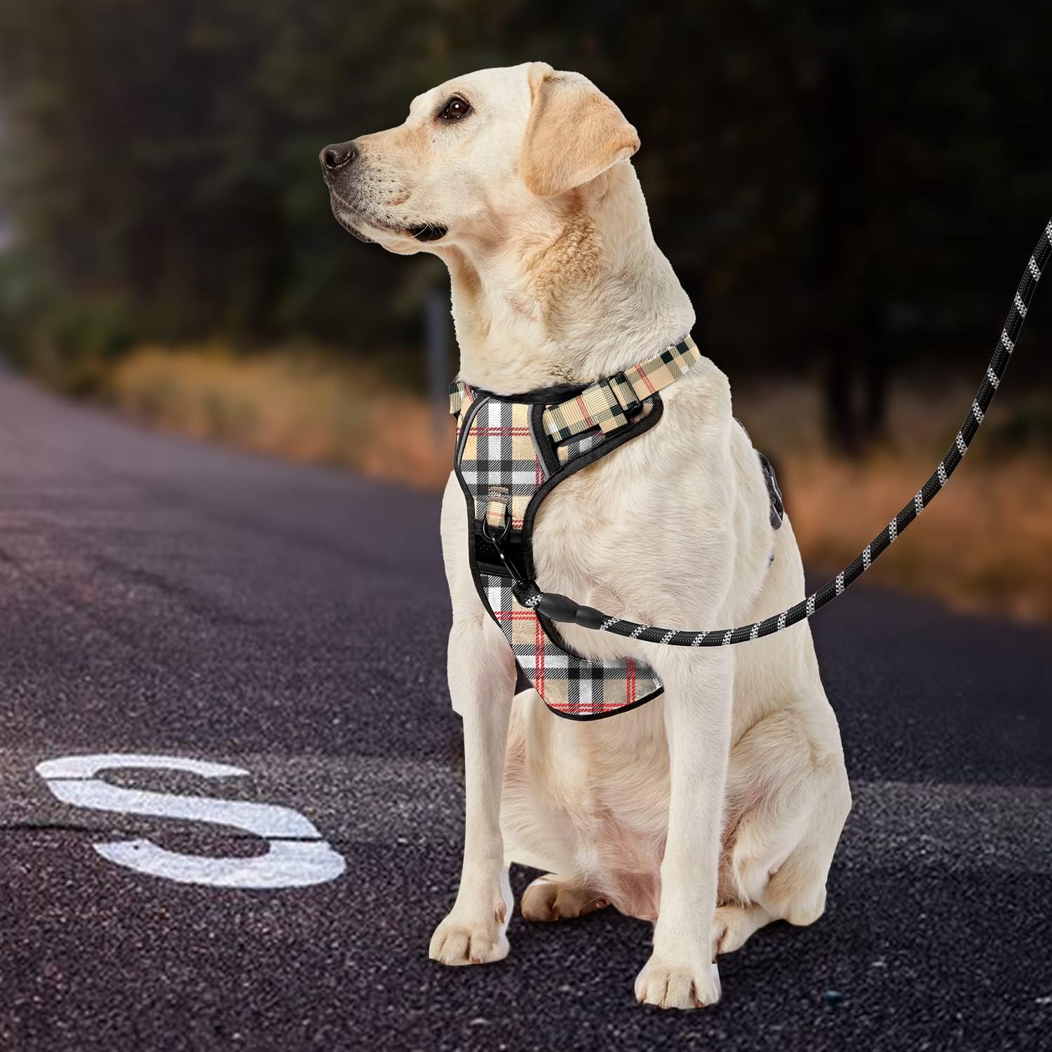 IVY&LANE Arnés sin tirones para perros grandes, arnés de chaleco reflectante de 360 con 2 clips para correa, 3 hebillas a presión, chaleco acolchado