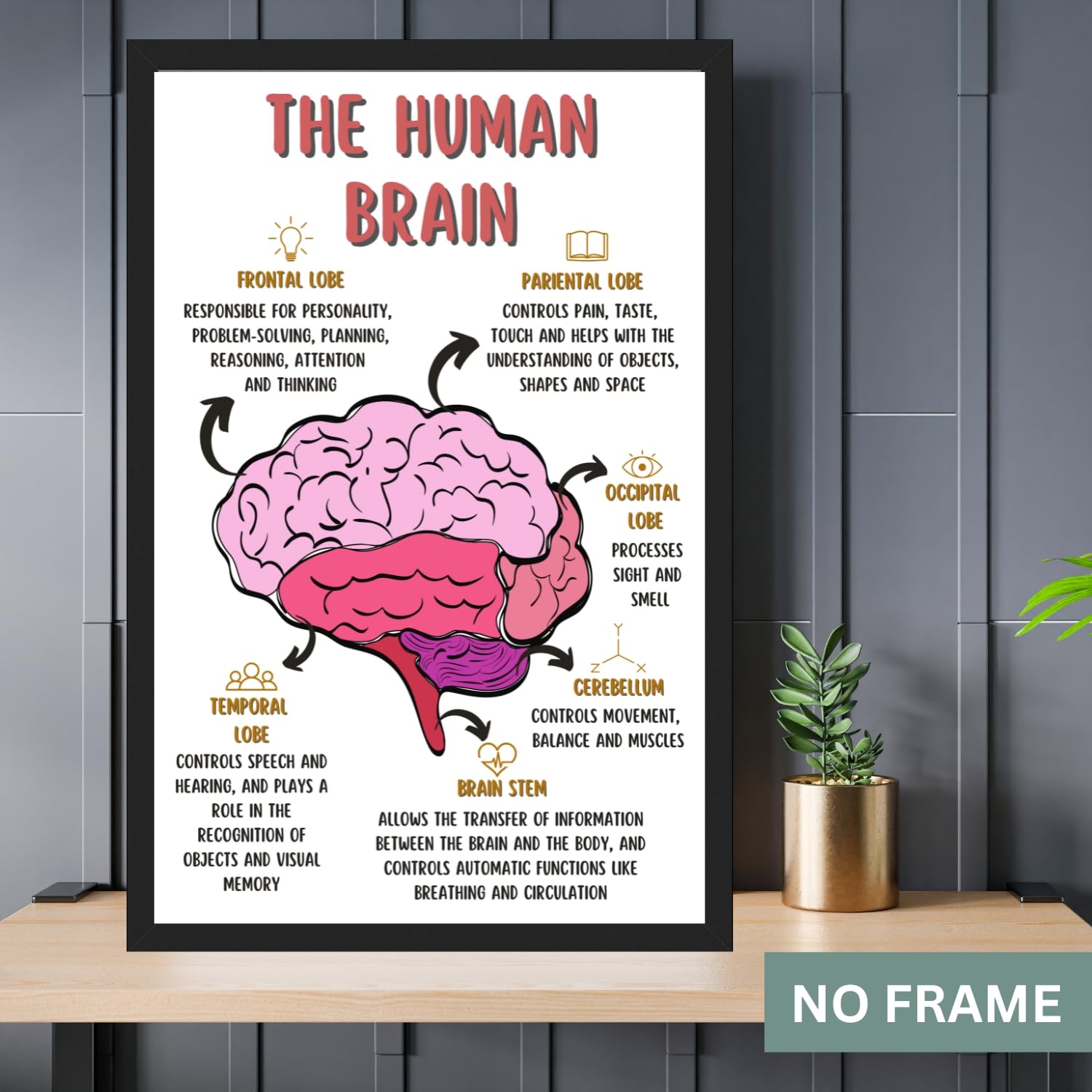 The Human Brain Poster, Mental Health Office Print, Therapy Decor Art, Therapist Psychologist Guidance Counselor Office Decor Wall Art – 11×17 in.