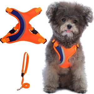 _ Juego de arnés y correa para perro, arnés ajustable para cachorro, chaleco suave y reflectante para perros pequeños y medianos que caminan (S, _ Juego de arnés y correa para perro, arnés ajustable para cachorro, chaleco suave y reflectante para perros pequeños y medianos que caminan (S,