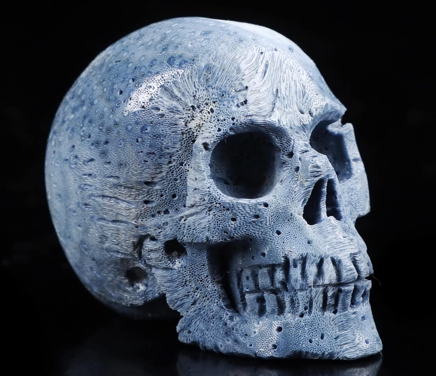 2.0 “esponja azul coral cráneo de cristal, escultura de arte de piedras preciosas talladas a mano, estatua de piedra curativa de Reiki.1388