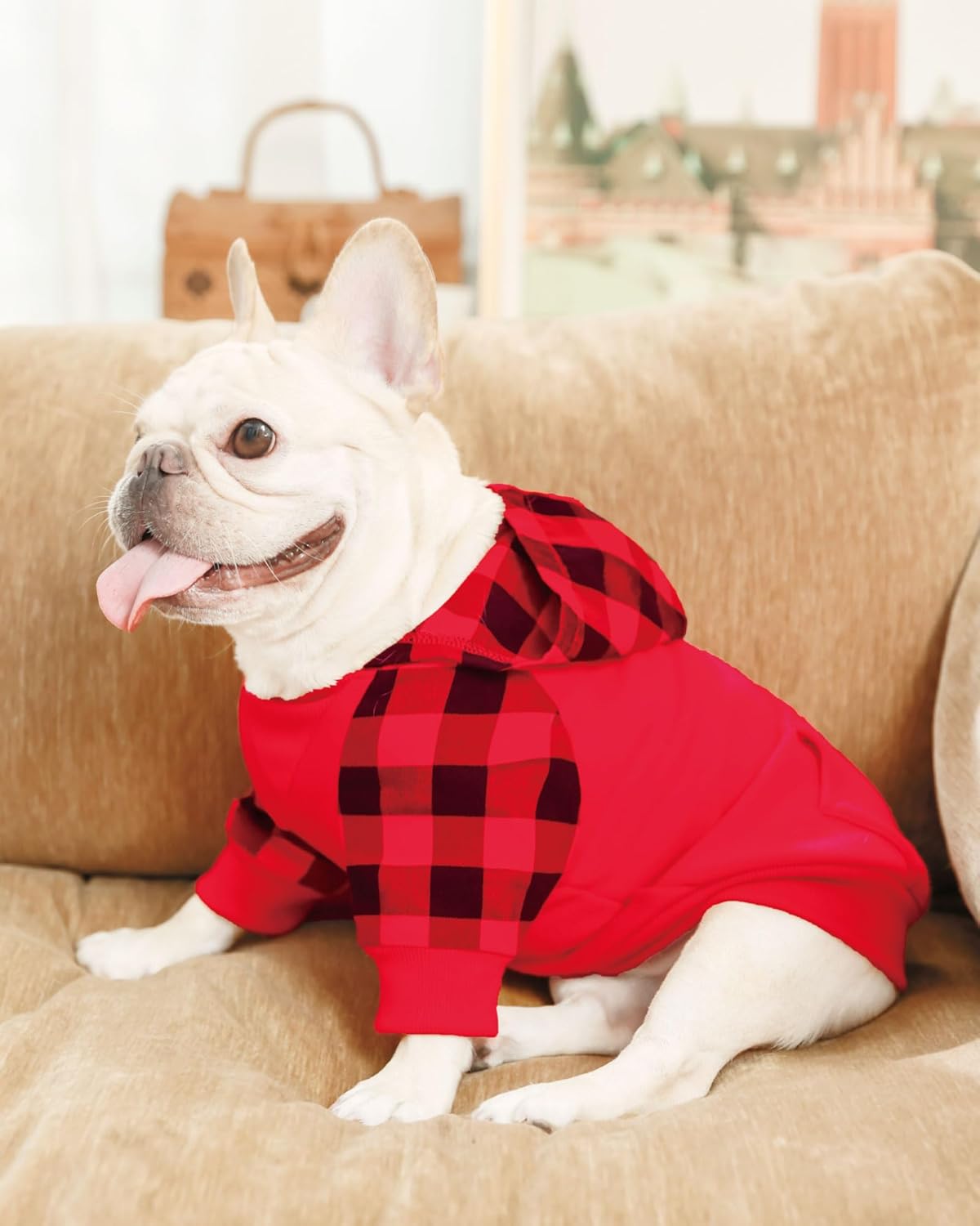 Sudadera con capucha para perro pequeño, 100 % algodón, ropa de perro a cuadros de búfalo para perro, hembra, niño, bulldog francés, ropa de