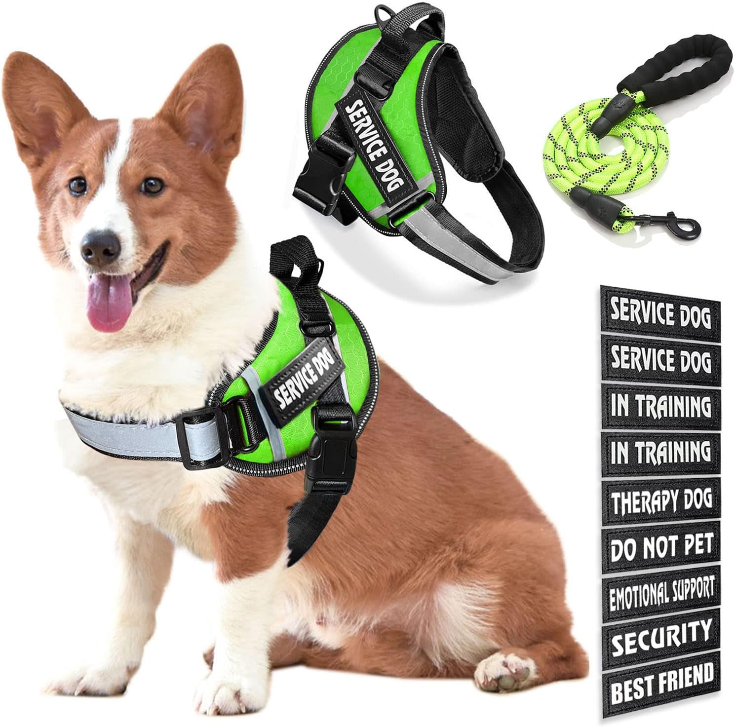 Chaleco de servicio para perro, 9 parches para perros, arnés y correa para perro con asa, arnés de chaleco para mascotas fácil de poner y quitar con