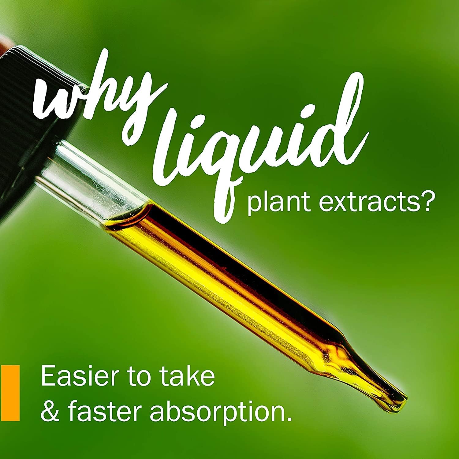 Herb Pharm Extracto líquido de saúco negro orgánico certificado para apoyo del sistema inmunológico, alcohol de caña orgánico, 1 onza