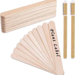 Whaline 200 etiquetas de madera para plantas impermeables, de cabeza redonda, etiquetas de letrero de plantas de madera de abedul, marcadores de Whaline 200 etiquetas de madera para plantas impermeables, de cabeza redonda, etiquetas de letrero de plantas de madera de abedul, marcadores de