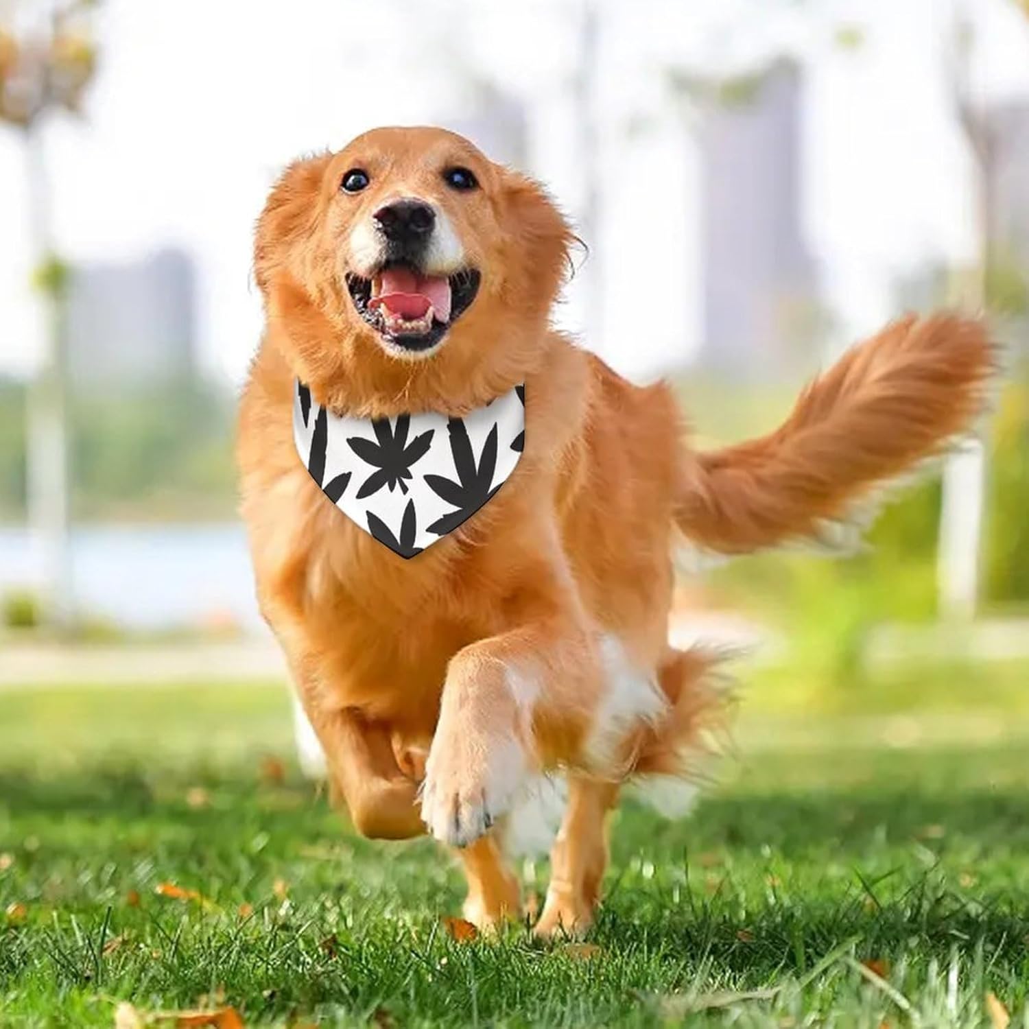 Bandana triangular para perros y cachorros, bufanda triangular con hebilla ajustable para perros pequeños y medianos, cachorros y gatos, bufanda