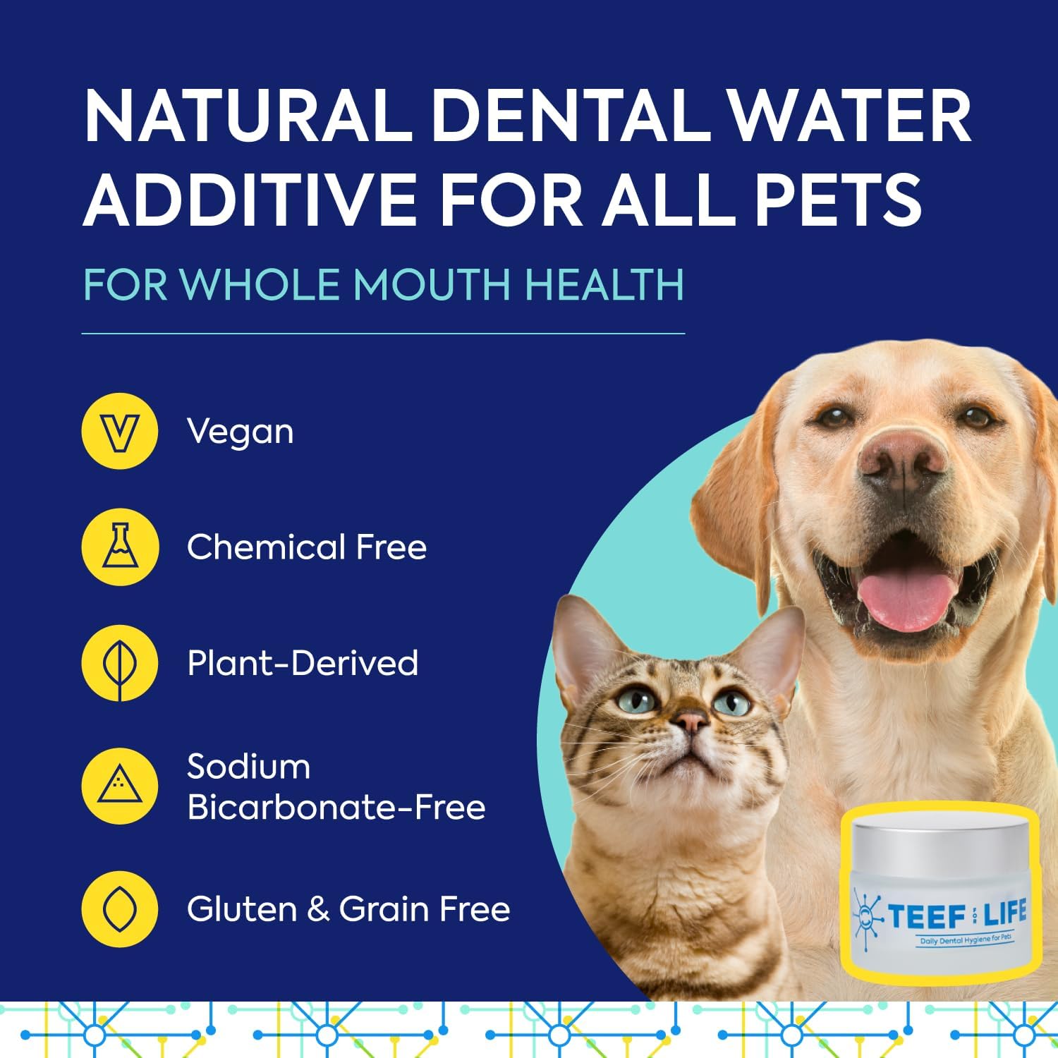 Protektin42+K Cuidado dental diario derivado de plantas para todas las mascotas (sin sodio), aditivo de agua dental, combate la placa y el sarro,