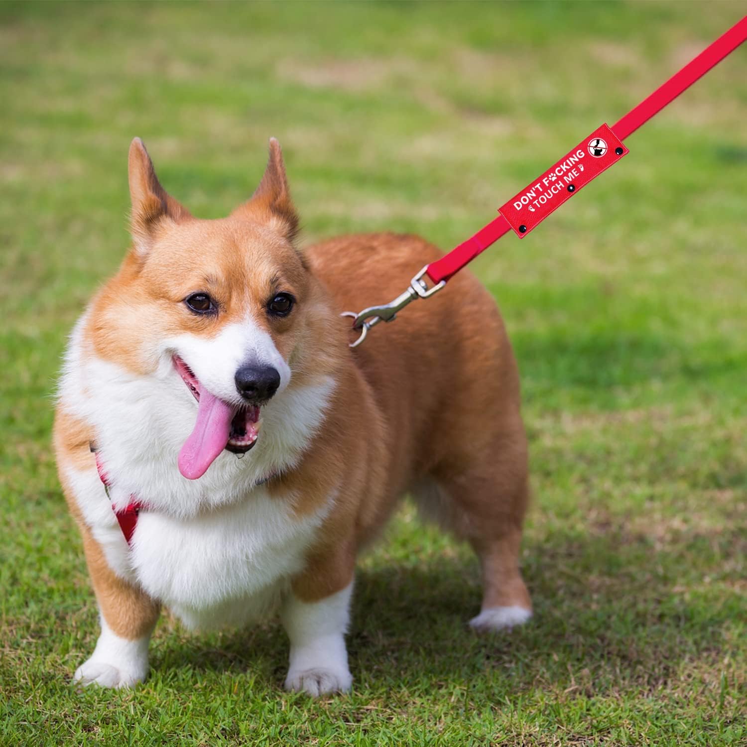 Advivio Don’t Touch Me – Funda roja para correa de perro, etiqueta de parche de identificación colgante para mascotas, perros y gatos, la mejor