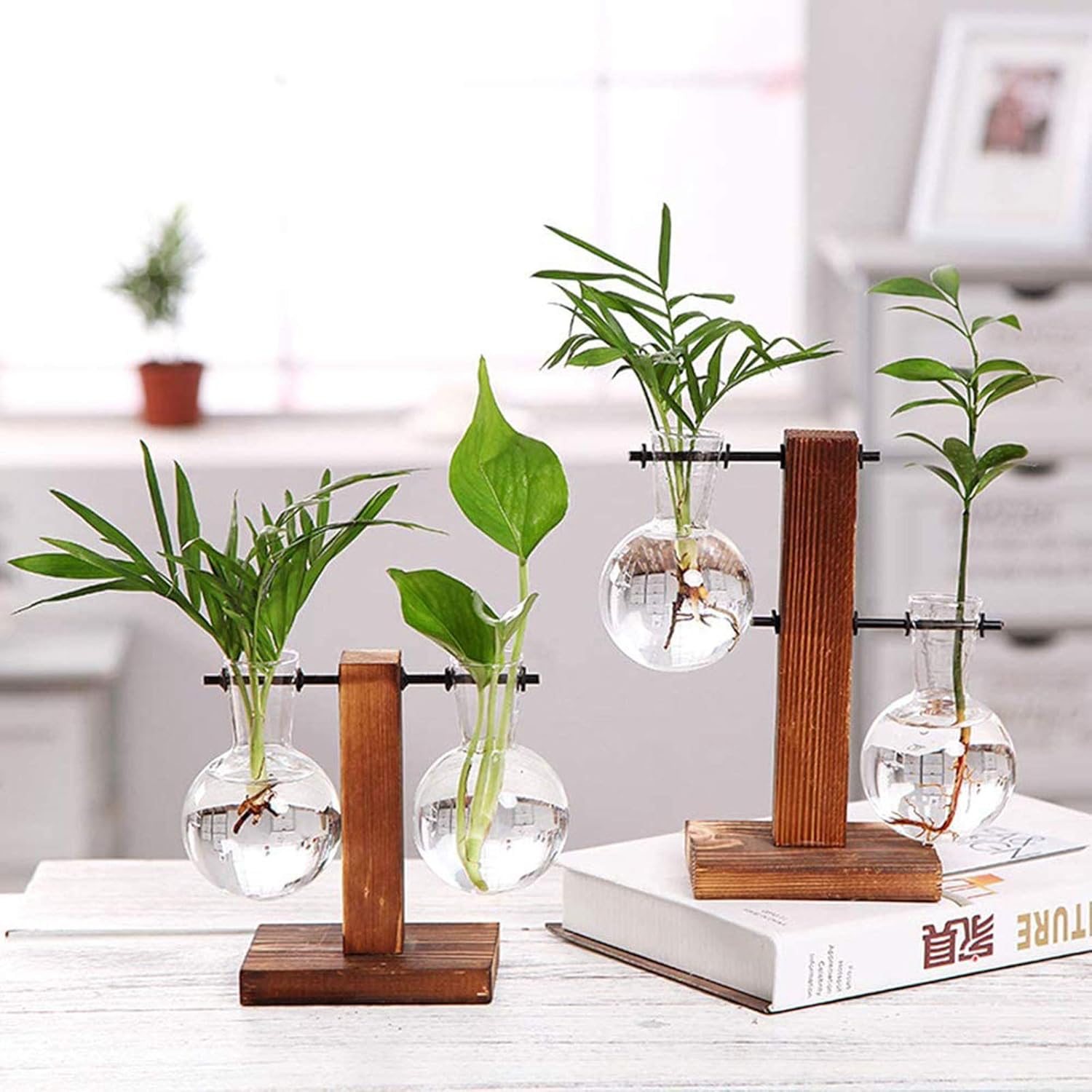 Jarrón de cristal para maceta, kit de terrario para plantas de escritorio con soporte de madera maciza retro para plantas hidropónicas, hogar,