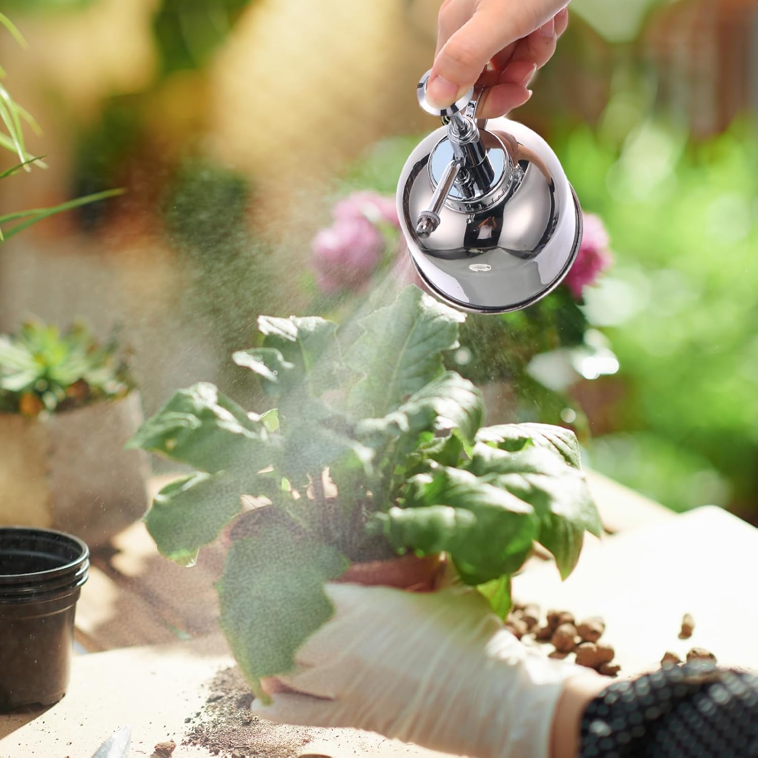 4 piezas de acero inoxidable para plantas Mister botella de riego para suculentas con bomba superior, rociador de flores, rociador pequeño, regadera