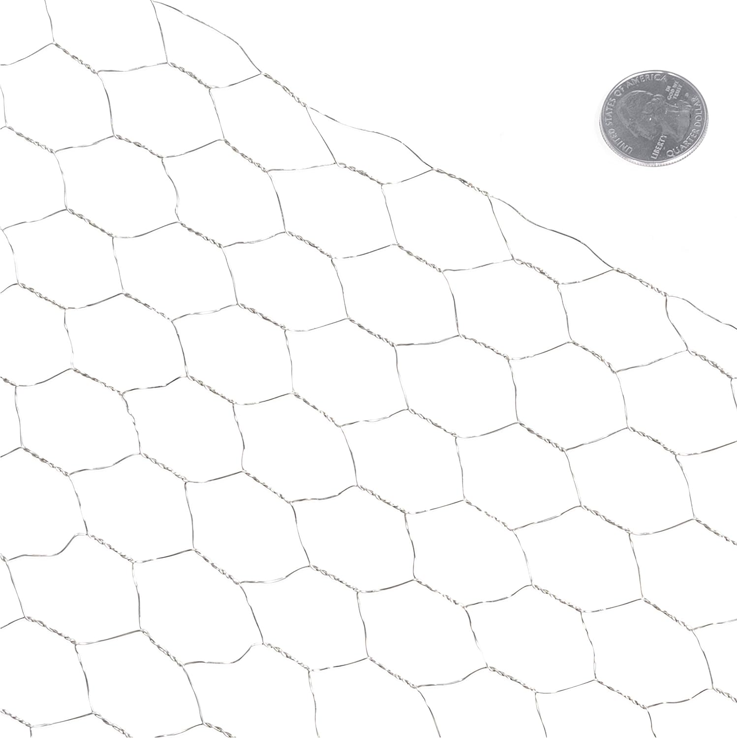 Fencer Wire Valla de red para aves de corral, valla de alambre hexagonal galvanizado de calibre 20, tamaño de apertura de malla de 1 pulgada (2 pies