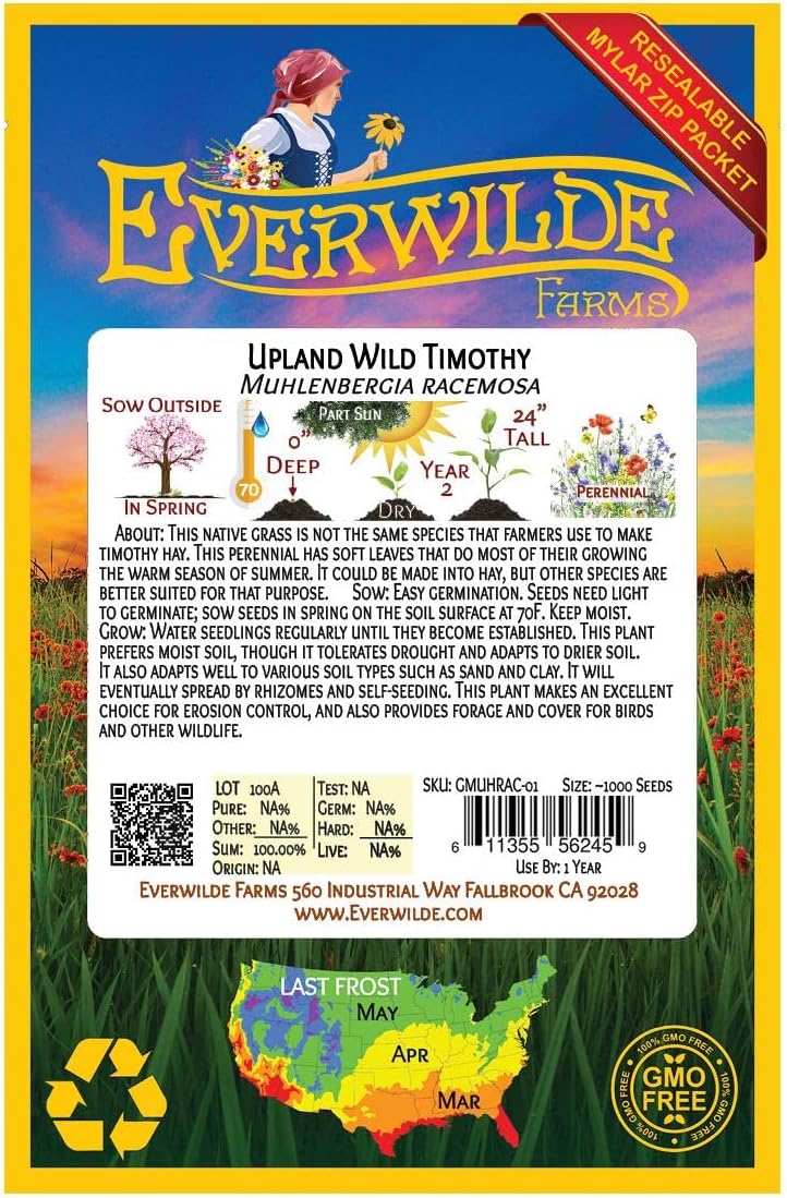 Everwilde Farms – 1000 semillas de hierba nativa Timothy silvestre Upland – Paquete de semillas jumbo Gold Vault