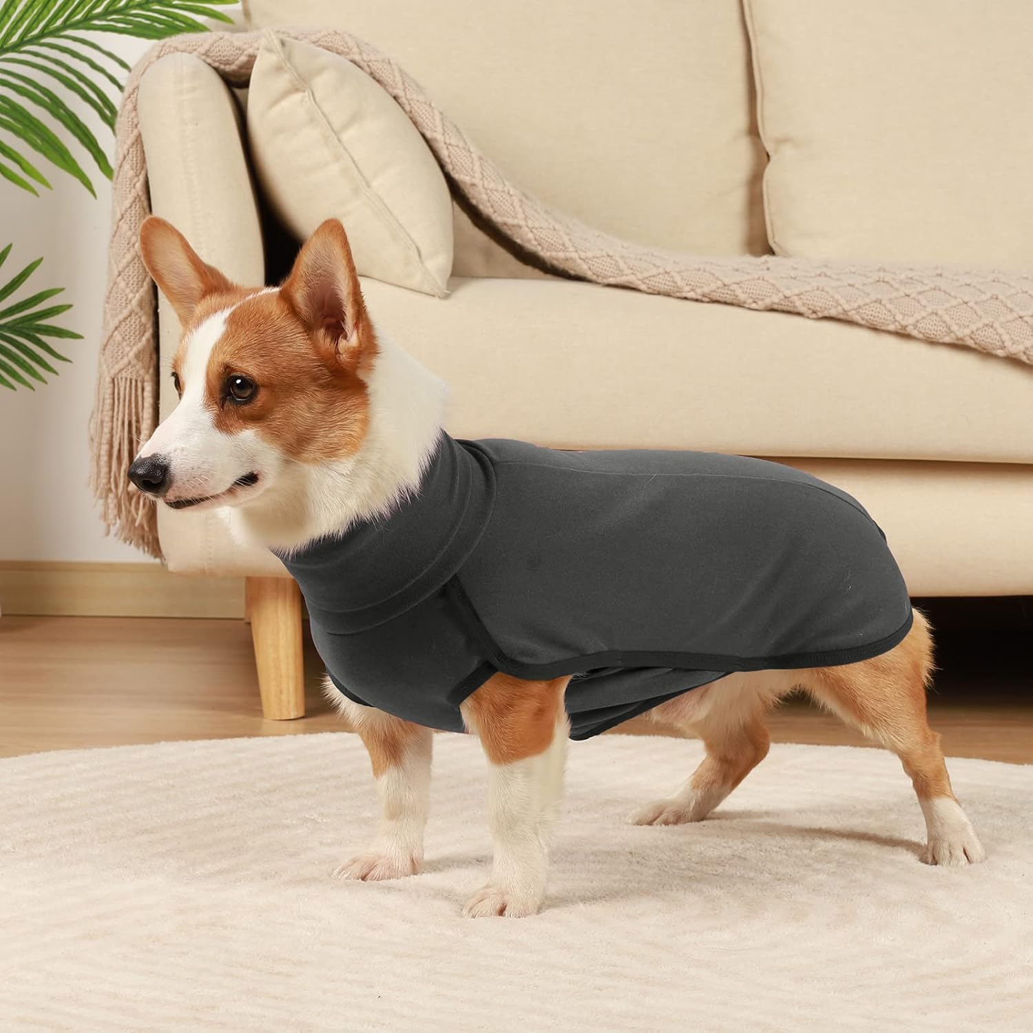 ROZKITCH Abrigo de invierno para perro, pijama suave para mascotas, resistente al viento, chaqueta cálida para clima frío, chaleco acogedor, ropa