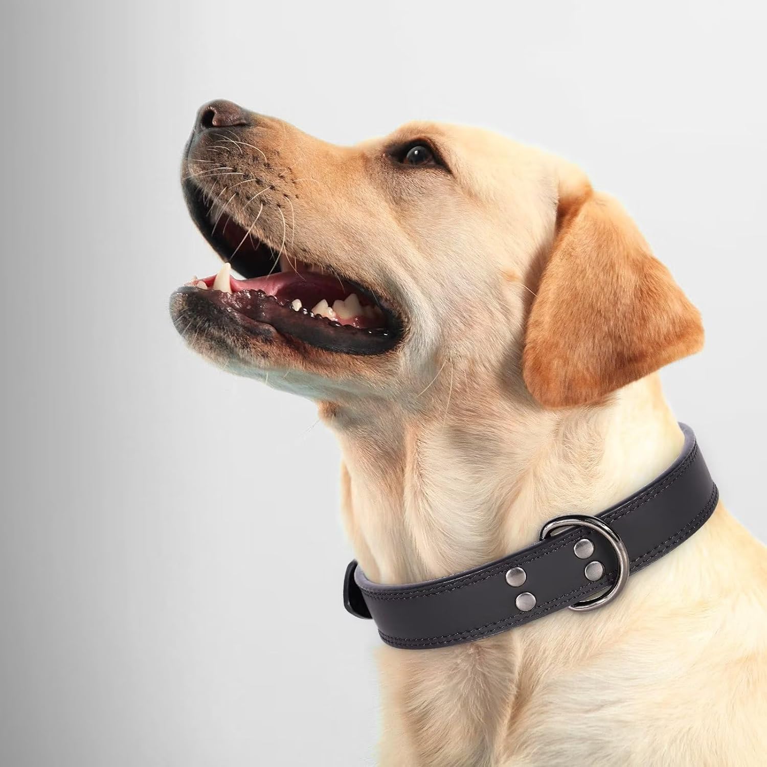 Didog Collar de perro de cuero genuino, duradero y suave, resistente con anillos dobles en D, collar de perro negro ajustable con hebilla de metal