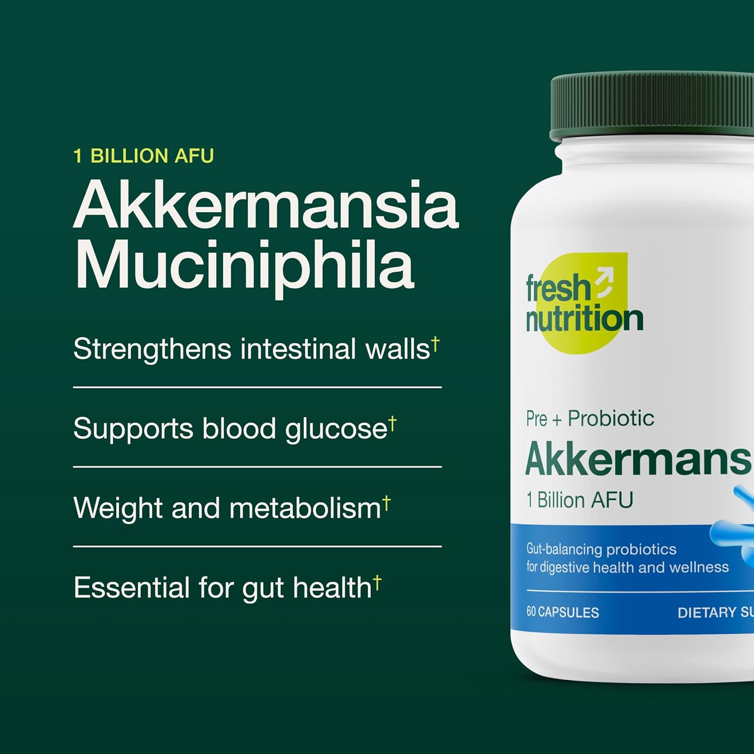 Akkermansia Muciniphila Probiotic 1 mil millones de AFU para producción de GLP-1 – Suplemento probiótico pre + – 60 cápsulas