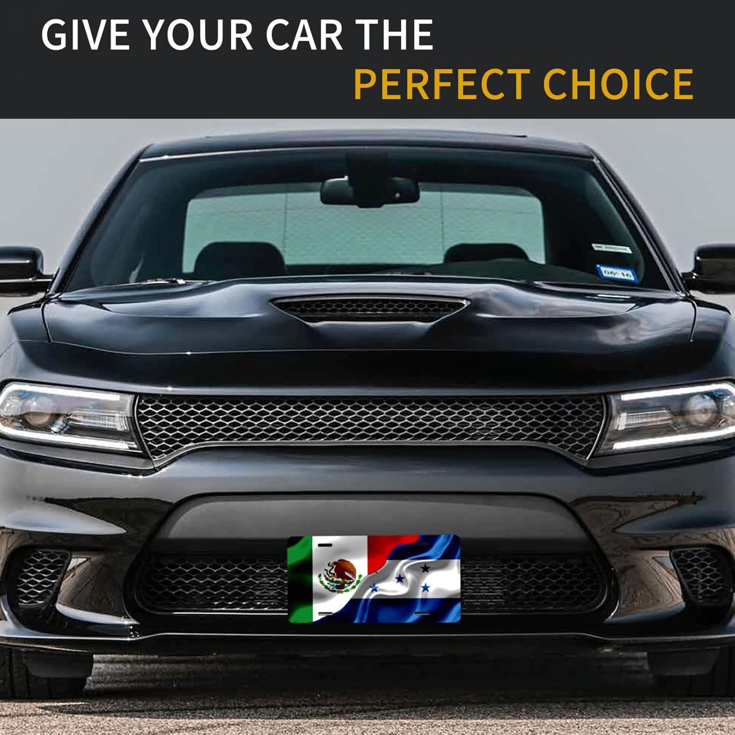 Placa de matrícula de la bandera de Honduras de México y Honduras de México y Honduras para la parte delantera del automóvil, etiqueta de aluminio