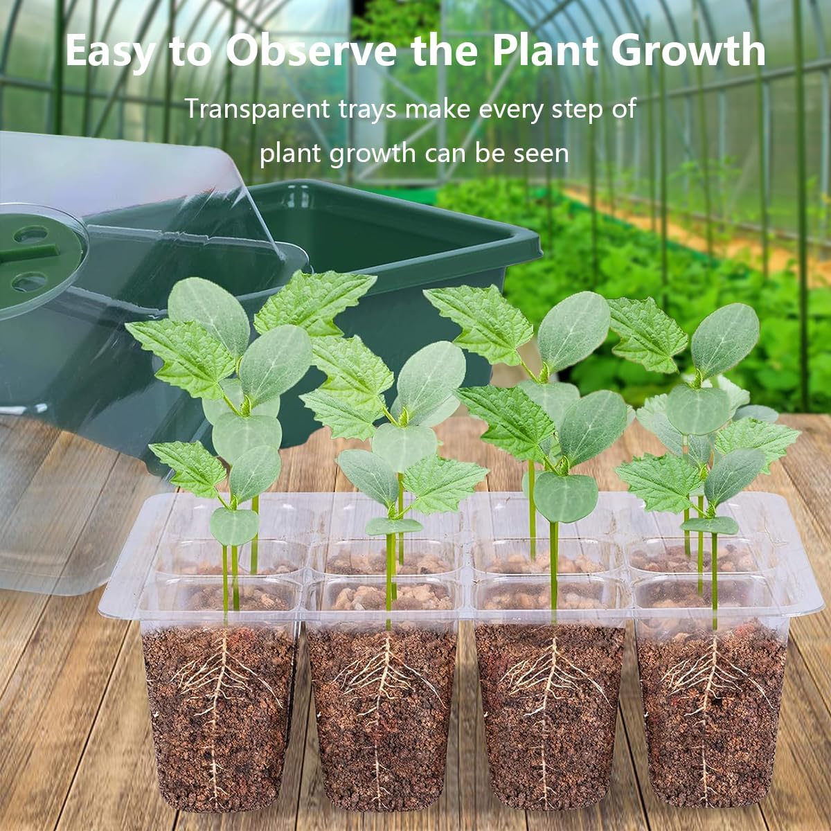 Bandejas iniciales de semillas, 12 celdas x 10 paquetes de humedad ajustable para plantas con cúpula y base para invernadero y jardines (bandeja de